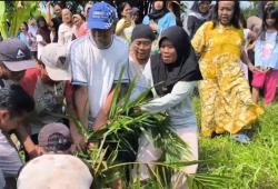 Emak-emak di Cirebon Cabuti Ribuan Bibit Kelapa Sawit Ilegal, Ini Penyebabnya<