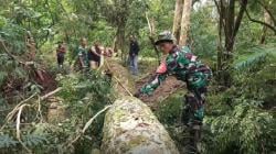 5 Orang Ditetapkan Tersangka Illegal Logging di Hutan Gunung Ciremai<