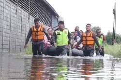 Pekalongan Dikepung Banjir 1 Meter, Tim SAR Sisir Rumah Evakuasi Warga<