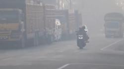 8 Hektare Lahan Gambut di Aceh Barat Terbakar, Jalan Lintas Provinsi Diselimuti Asap<