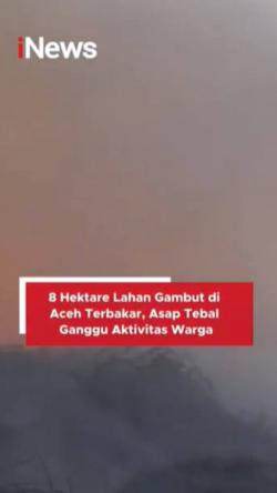 8 Hektare Lahan Gambut di Aceh Terbakar, Asap Tebal Ganggu Aktivitas Warga