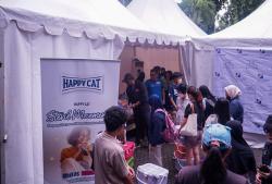 Gerakan Sterilisasi Kucing Ajak Masyarakat Wujudkan Cinta Lewat Tindakan<