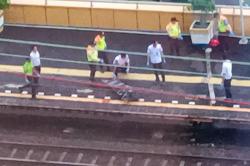 Terungkap! Penumpang KRL di Gondangdia Tewas Tertabrak Kereta usai Lompat dari Peron