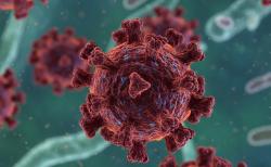 Seberapa Bahaya Dampak Virus Nipah bagi Manusia? Begini Cara Penularannya