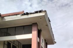 Dampak Gempa Pacitan M5,5, Atap Kantor Kecamatan di Trenggalek Jatuh Timpa 3 Pegawai<