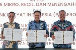 Perkuat Investasi Daerah, BRI Kolaborasi dengan BP Batam hingga BKPM dan Kementerian UMKM<