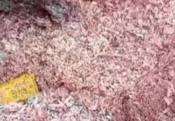 Polisi Ungkap Cacahan Rp100.000 di TPS Liar Bekasi Uang Cetakan Lama BI