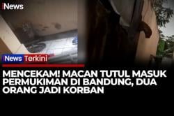 Ngeri! Macan Tutul Jawa Masuk Pasar Pacet Bandung, 2 Warga Terluka Diserang