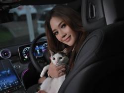 Viral Pensiunan ASN di Blora Tendang Kucing, Lirabica Angkat Bicara!