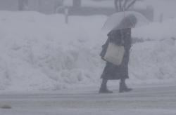 Badai Salju Mengganas di Jepang, 46 Orang Tewas Ratusan Luka