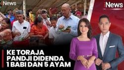 Pandji Pragiwaksono Kena Sanksi Adat Toraja, Denda Babi dan Ayam Jadi Sorotan