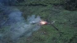 112 Hektare Ladang Ganja di Gayo Lues Dibabat Habis, 56 Orang Ditangkap<