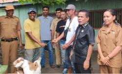 Atasi Kemiskinan, Politisi Perindo Berdayakan Warga Nagekeo dengan Bantuan Kambing<