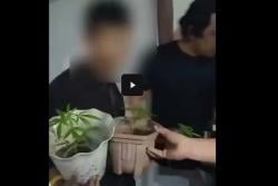 Tanam Ganja Dalam Pot Bunga, Relawan Dapur MBG di Sukabumi Ditangkap Polisi<