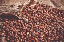 Kopi Andalan Ekspor RI, Mentan Ingin Jadi Produk Olahan Bernilai Tinggi