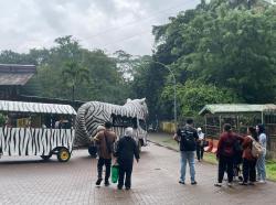 Jelang Ramadan, Taman Margasatwa Ragunan bakal Sesuaikan Jam Operasional