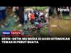 Tragis! Pencari Kerang di Simeulue Tewas Diterkam Buaya 4 Meter<
