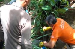 Terungkap! Wanita Tewas Mengenaskan di KJIE Karawang Ternyata Dibunuh Pacar<