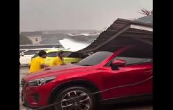 Hujan Badai Porak-porandakan Semarang, Belasan Pohon Tumbang Hingga Listrik Padam<