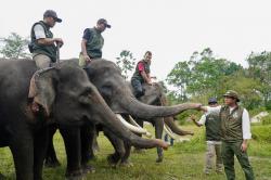 Menhut Turun Tangan, Koridor Gajah Sumatra di Riau Segera Tersambung Kembali