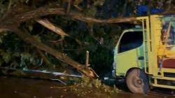 Puting Beliung Sapu 12 Kecamatan di Pasuruan, Puluhan Pohon Tumbang 15 Rumah Rusak<