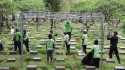 Pemprov DKI Sediakan Layanan Pemakaman Gratis di 82 TPU, Cek Syaratnya