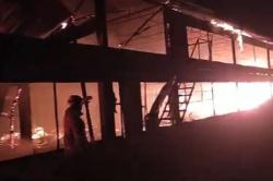 Kebakaran Kandang di Banjarnegara, 14.000 Ekor Ayam Mati Terpanggang<