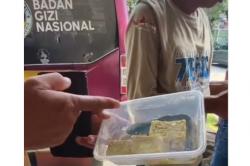 Viral Menu MBG Lele dan Tempe Marinasi di Pamekasan, Ini Klarifikasi BGN<