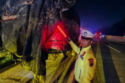 Kecelakaan Bus Tabrak Truk di Tol Semarang-Batang, 8 Orang Luka-Luka<