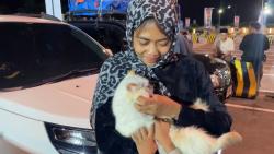 Pemudik Ini Bawa Kucing Kesayangan Naik Kapal dari Merak ke Jambi, Alasannya Bikin Haru