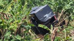 Bus Rem Blong di Bandung Barat, Tabrak Mobil dan Motor lalu Terjun ke Perkebunan<