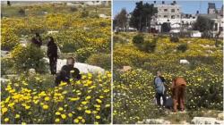 Viral Pemakaman di Gaza Jadi Taman Bunga, Ini Fotonya!