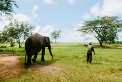 Menhut Ungkap Arahan Prabowo: Pagar TN Way Kambas 138 Km Ditargetkan Rampung Akhir 2026