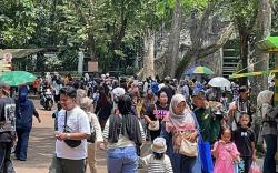 Taman Margasatwa Ragunan Diserbu Wisatawan di H+7 Lebaran, Pengunjung Diprediksi Tembus 60.000 Orang