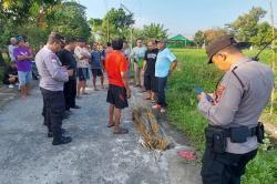 Geger! Lansia Perempuan Ditemukan Tewas dalam Saluran Air di Bantul<
