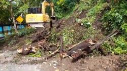 Tebing Longsor akibat Hujan Deras di Ponorogo, Jalur Antarkecamatan Terputus<