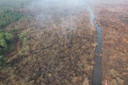 Karhutla Riau Meluas, 900 Hektare Lahan Terbakar<