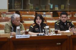 Ekspresi Kajari Karo Dipanggil Komisi III DPR soal Kasus Videografer Amsal Sitepu