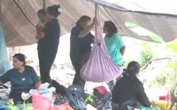 Kondisi Terkini usai Gempa M 7,6 di Ternate, 233 Rumah Rusak, 1.966 Jiwa Mengungsi<