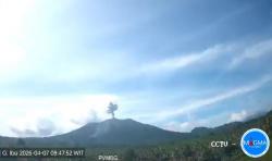 Gunung Ibu Erupsi Hari Ini, Muntahkan Kolom Abu Setinggi 500 Meter<