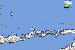 Gempa Hari Ini Magnitudo 3,8 Guncang Larantuka Flores Timur, Terasa Cukup Kuat<
