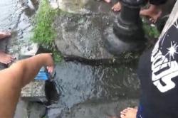 Ngeri! Balita 5 Tahun di Ponorogo Terseret Selokan saat Hujan Deras, Ditemukan Lemas<