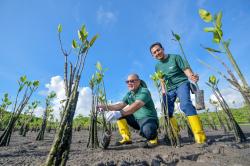 Peringatan Hari Bumi Sedunia, 1.150 Bibit Mangrove Ditanam di Teluk Benoa Bali