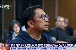 Bukan Makar, Feri Amsari Nilai Saiful Mujani Ungkap Kecintaan kepada RI