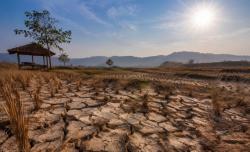 BMKG Tegaskan Kemarau 2026 Lebih Kering: Bukan Terparah dalam 30 Tahun