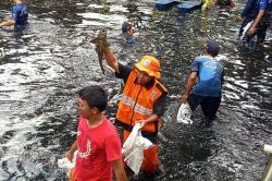 Operasi Besar-besaran, 200 Kg Ikan Sapu-Sapu Berhasil Ditangkap di Jakut
