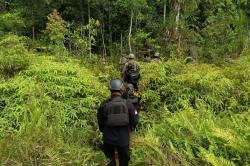 Usai Kontak Tembak Aparat dengan KKB, Situasi di Yahukimo Terkendali<