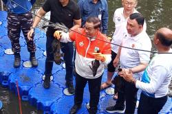 Populasi Ikan Sapu-Sapu di Jakarta Mengkhawatirkan, KKP: Wajib Dikendalikan