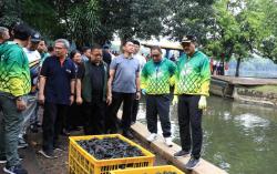 Cegah Ikan Sapu-Sapu Dijadikan Siomai, Ini Langkah Pemkot Jaksel