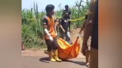 Geger! Mayat Pria Ditemukan Membusuk di Kebun Jagung Jombang<